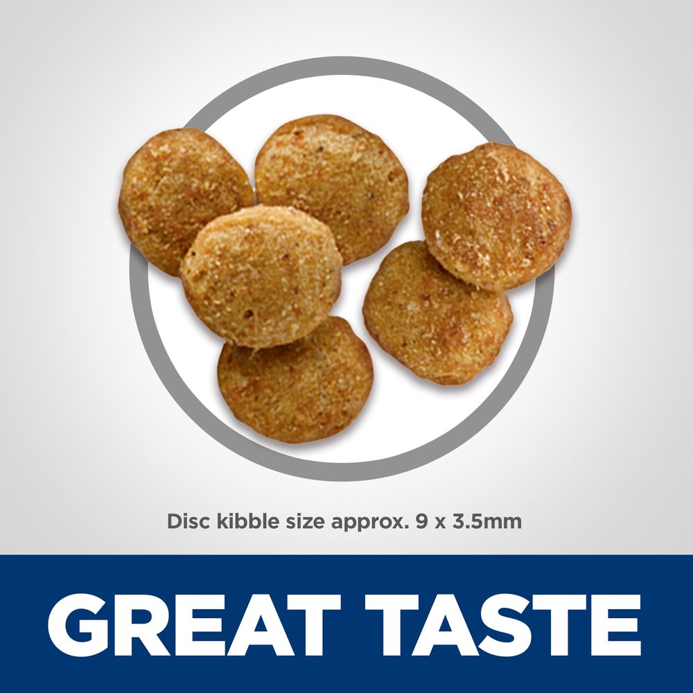 Hills Science Diet Adult Light Chicken Recipe Dry Cat Food - lifestyle view