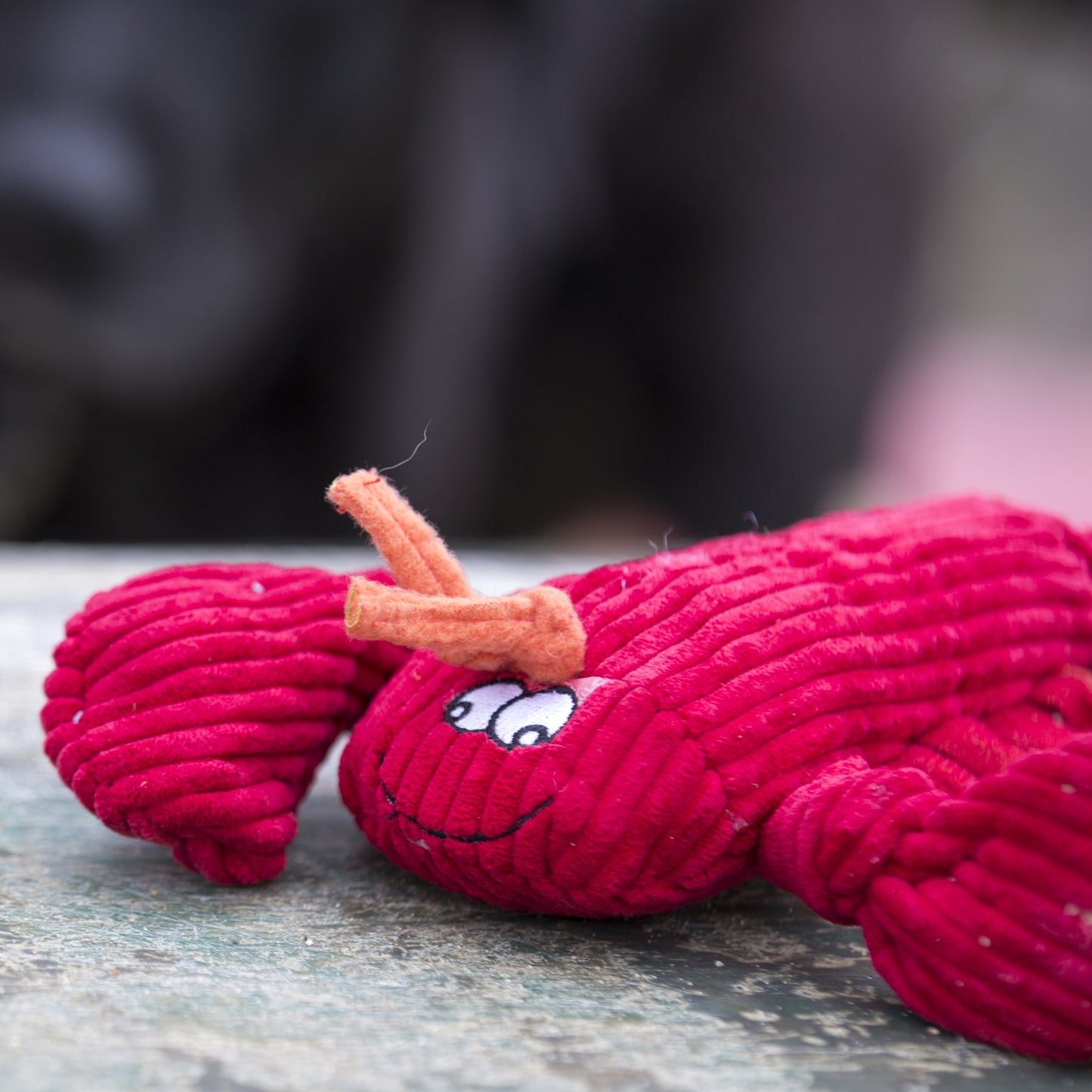 Dog Toy McCraken Lobsta Knottie Plush Toy for Daily Use main product image for dogs and cats