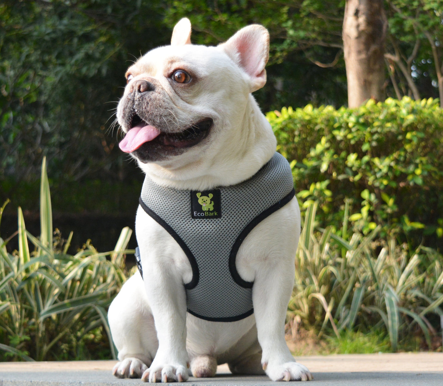 Dog Harness EcoBark Gray Harness Over-the-Head Soft Mesh - gallery product image for dog harness
