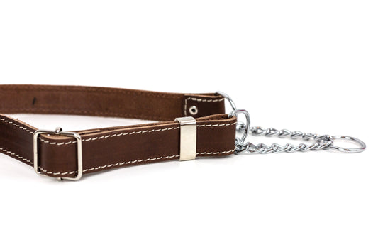 Dog Collar Martingale Chocolate Leather Collar for Daily Use main product image for dogs and cats