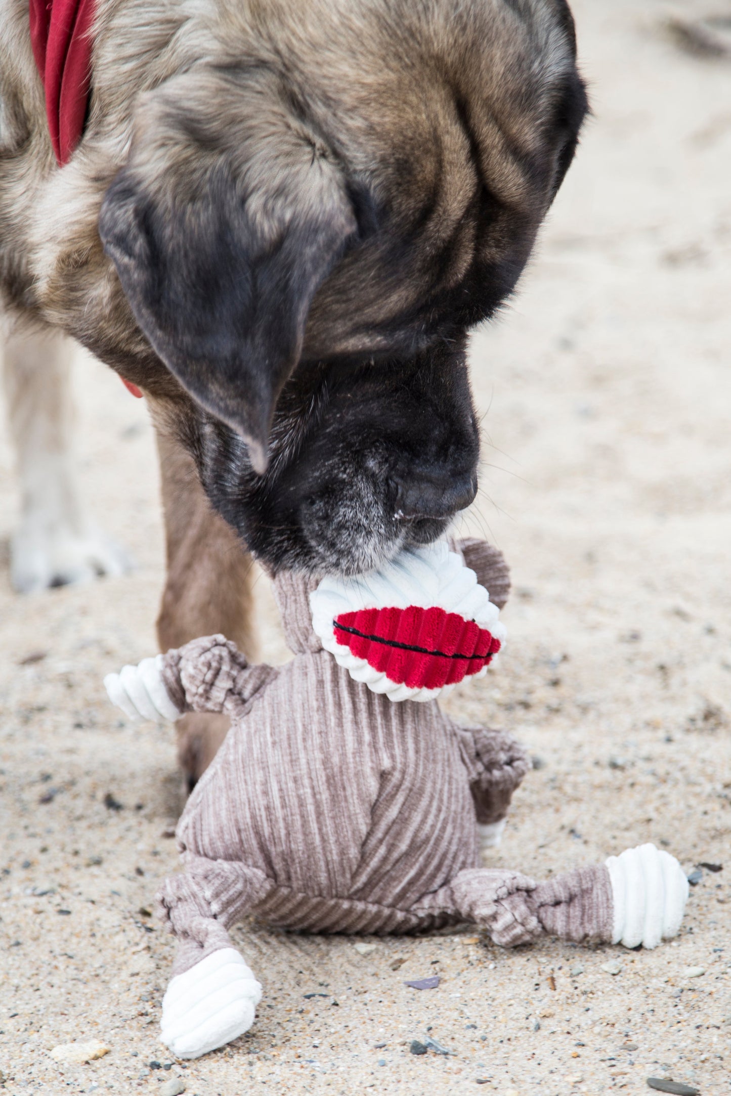 Dog Toy Stuey Sock Monkey Knottie Plush Toy for Daily Use main product image for dogs and cats