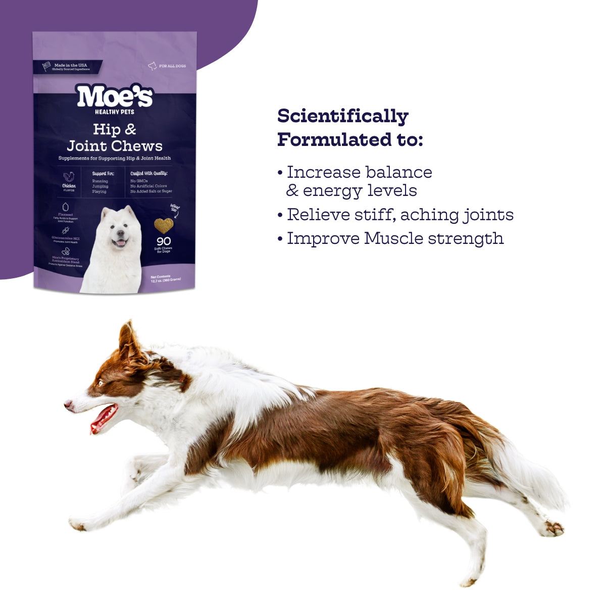 Hip & Joint Chews - gallery image 5