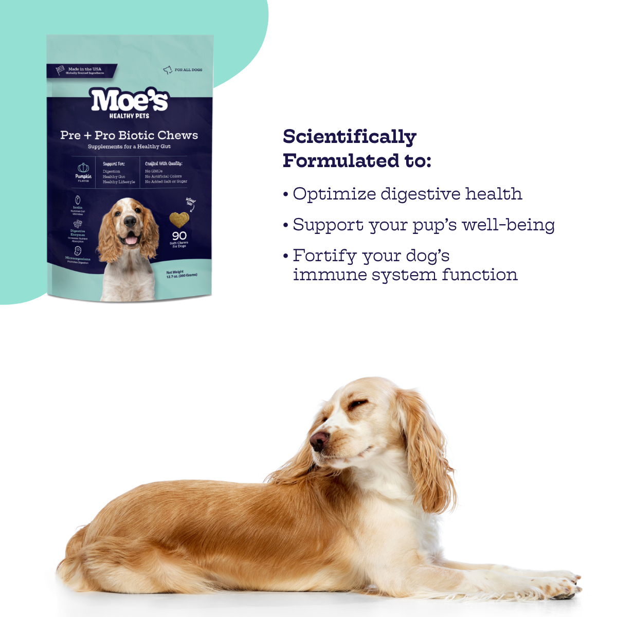 Pre + Pro Biotic Chews - lifestyle view