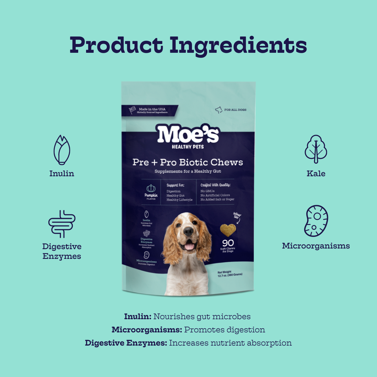 Pre + Pro Biotic Chews - detail view