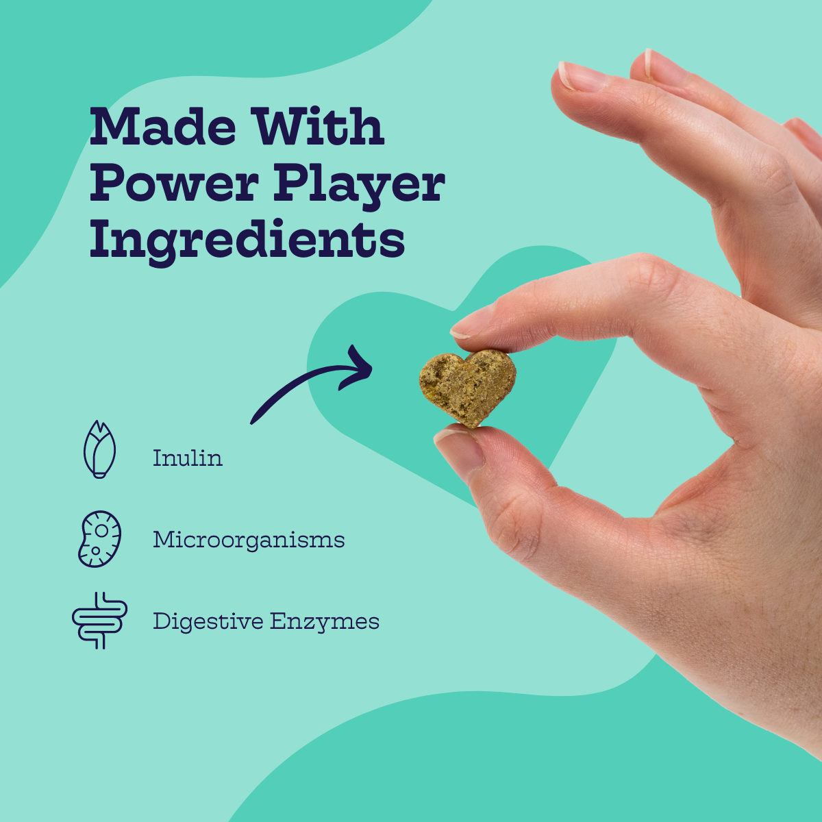 Pre + Pro Biotic Chews - gallery image 5