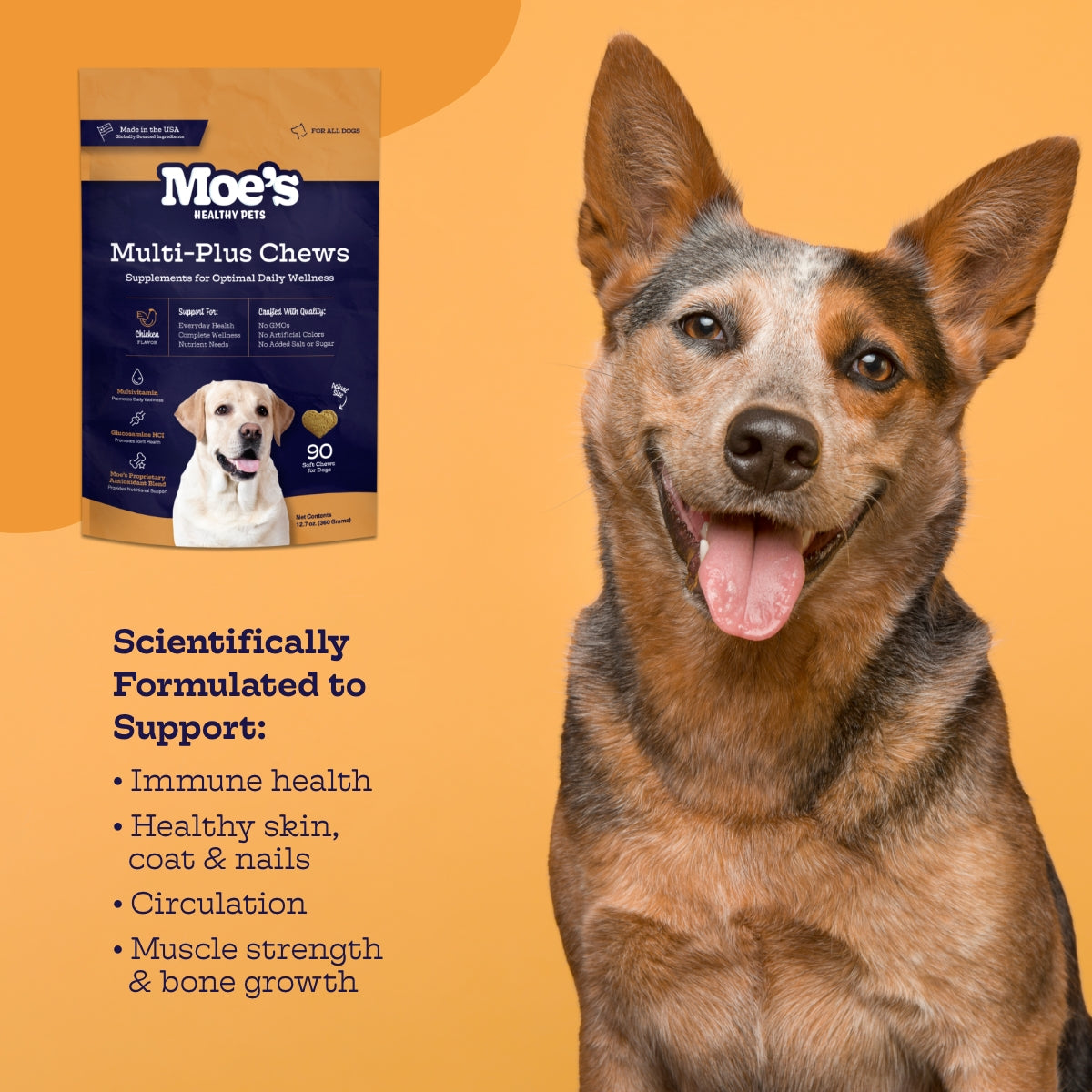 Multi-Plus Chews - gallery image 6