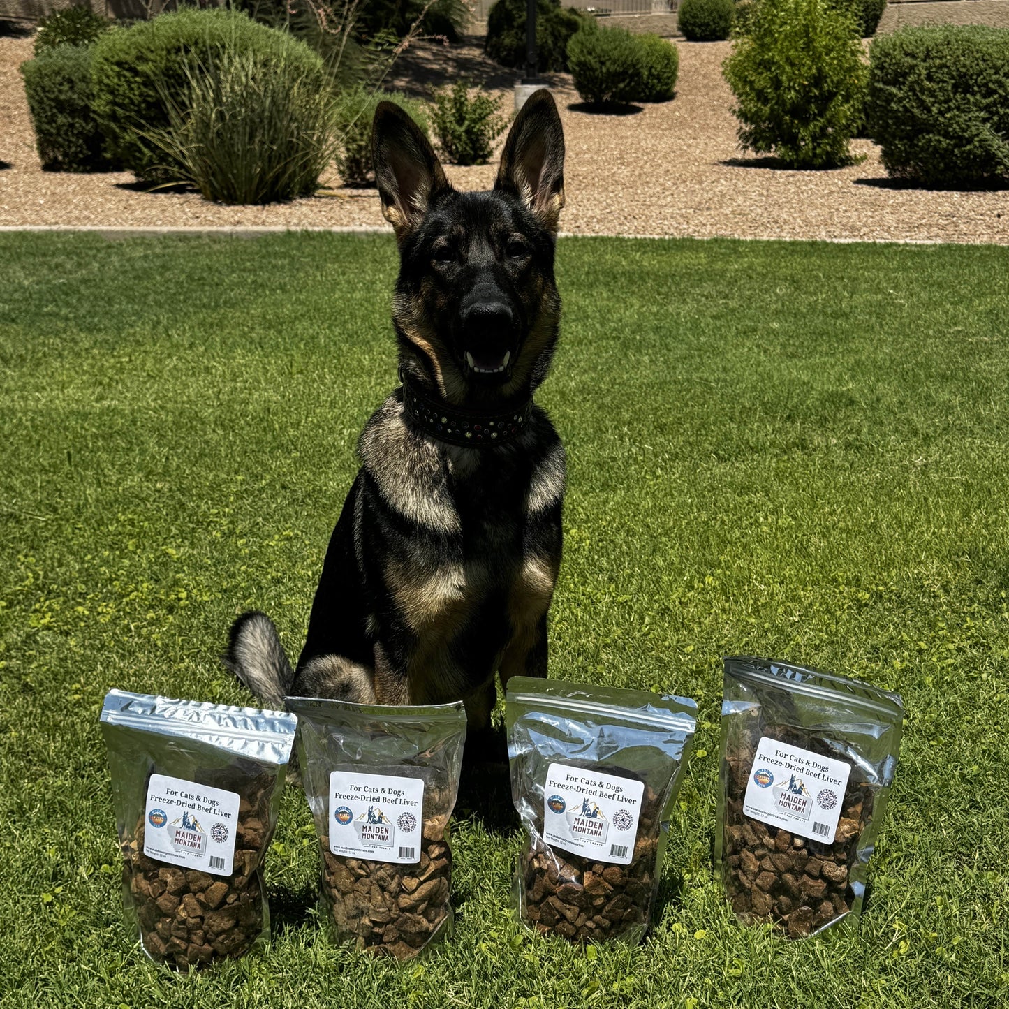 Freeze Dried Treats | Beef Liver | 12oz. - gallery image 7