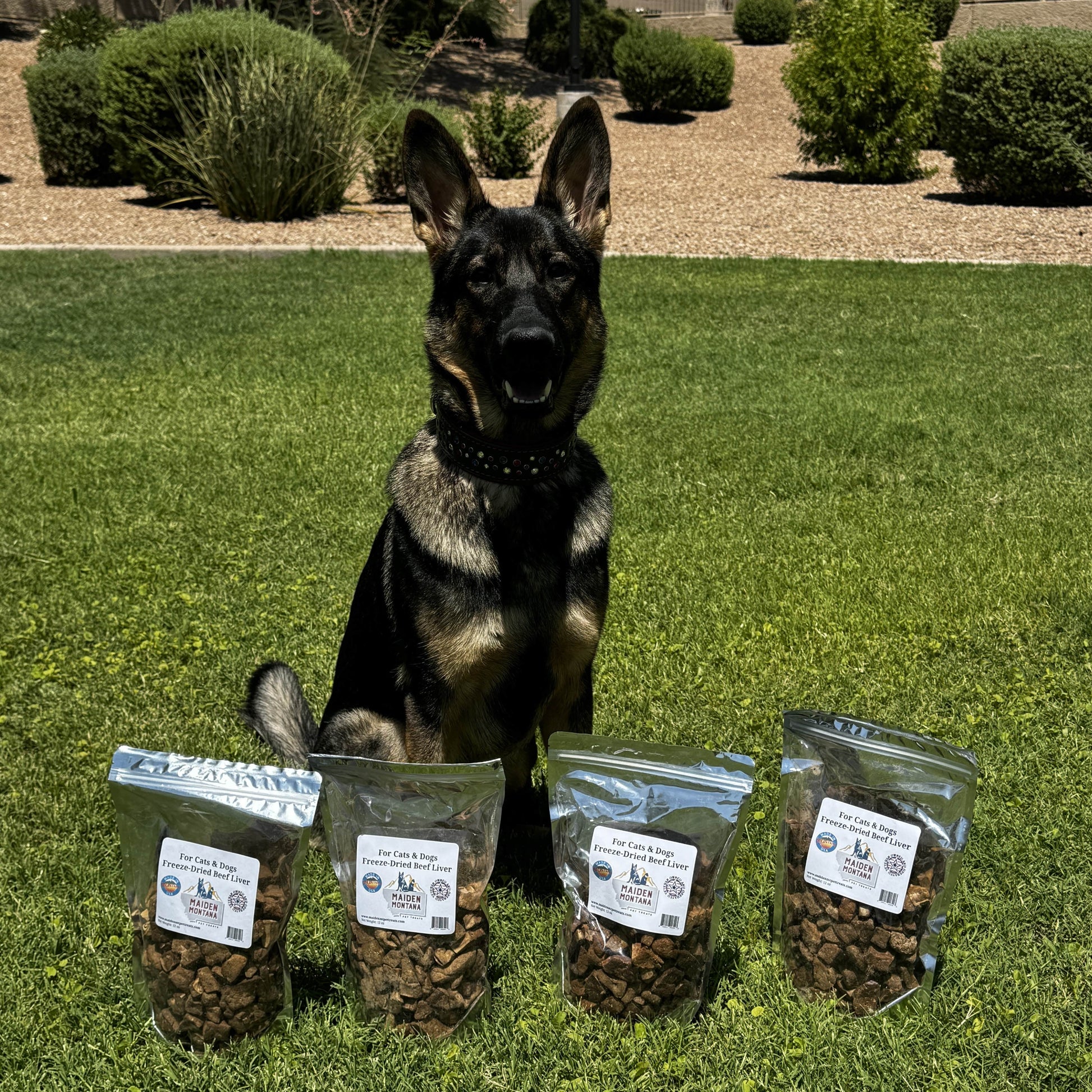 Freeze Dried Treats | Beef Liver | 12oz. - gallery image 7