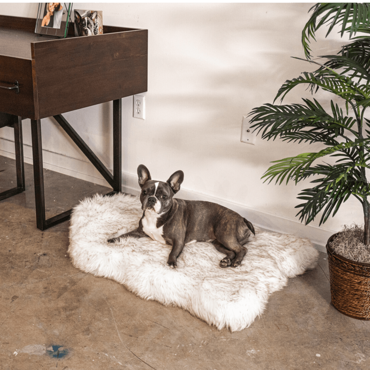 Puprug By Faux Fur Orthopedic Dog Bed Curve White - gallery image 14