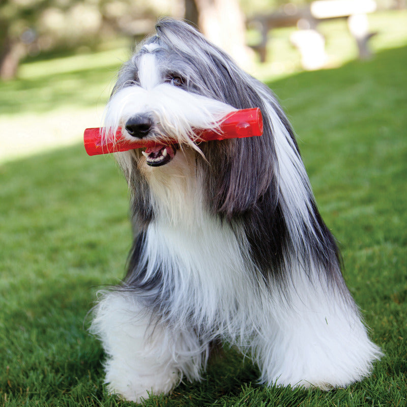 KONG Squeezz Ball Fetch Dog Toy Durable Play - detail view