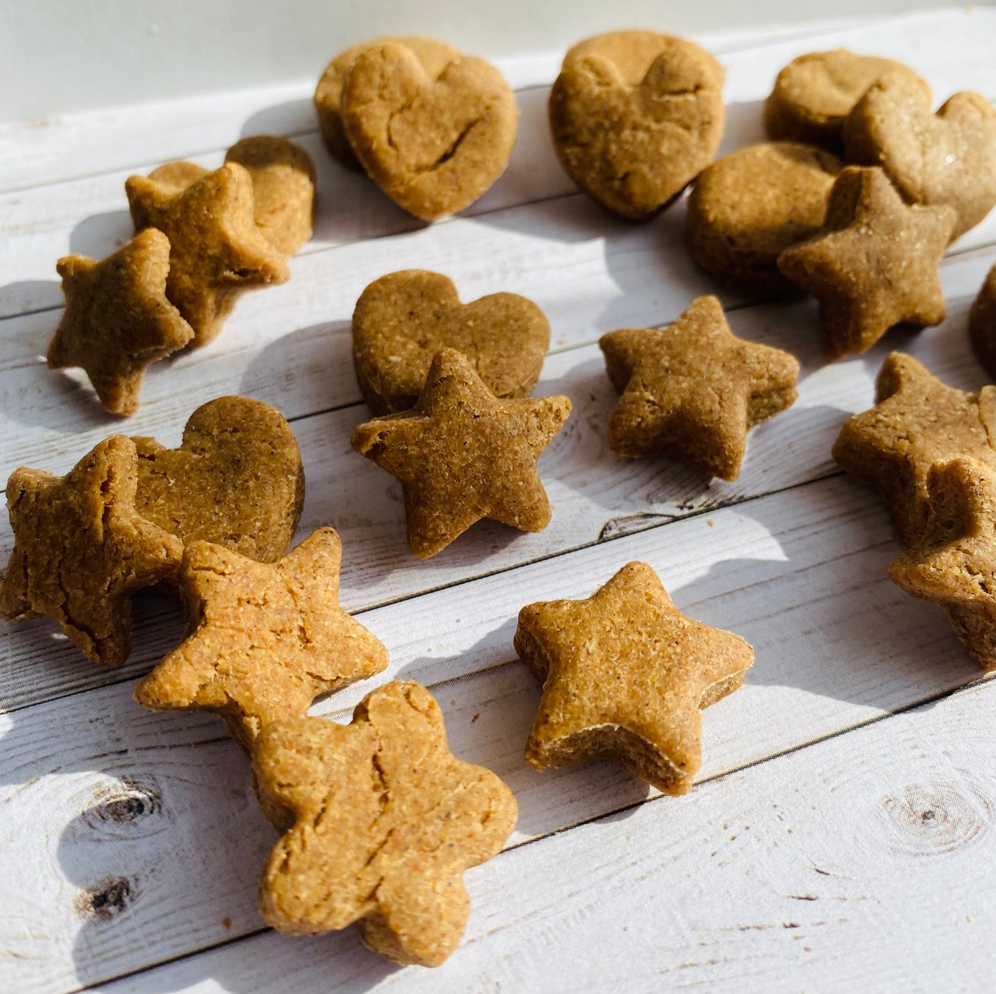 Dog Treats Premium Peanut Butter Chews 6oz Training Rewards - lifestyle view