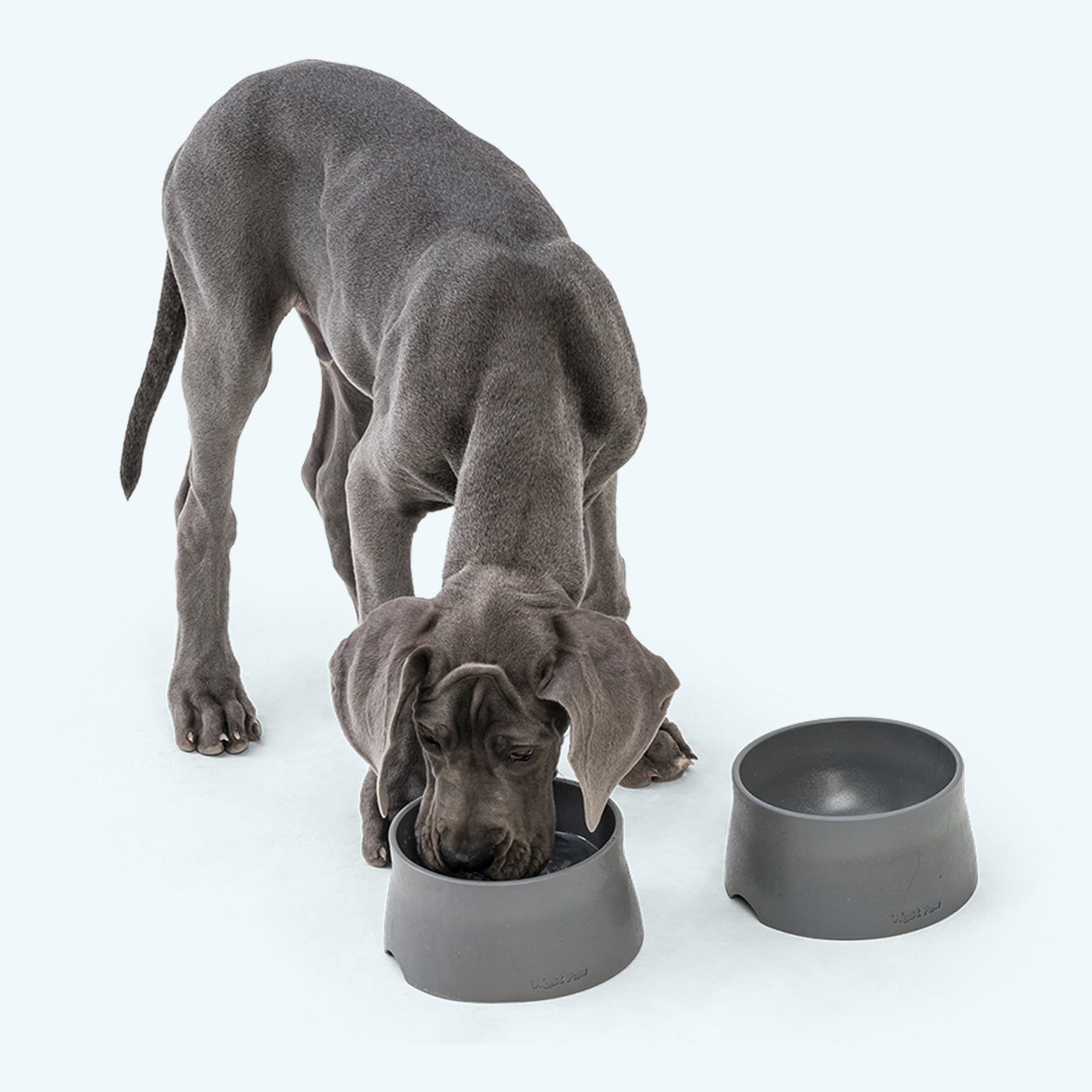 Pet Feeders Bowls Non Slip Feeding Bowl Daily Dining - close up view