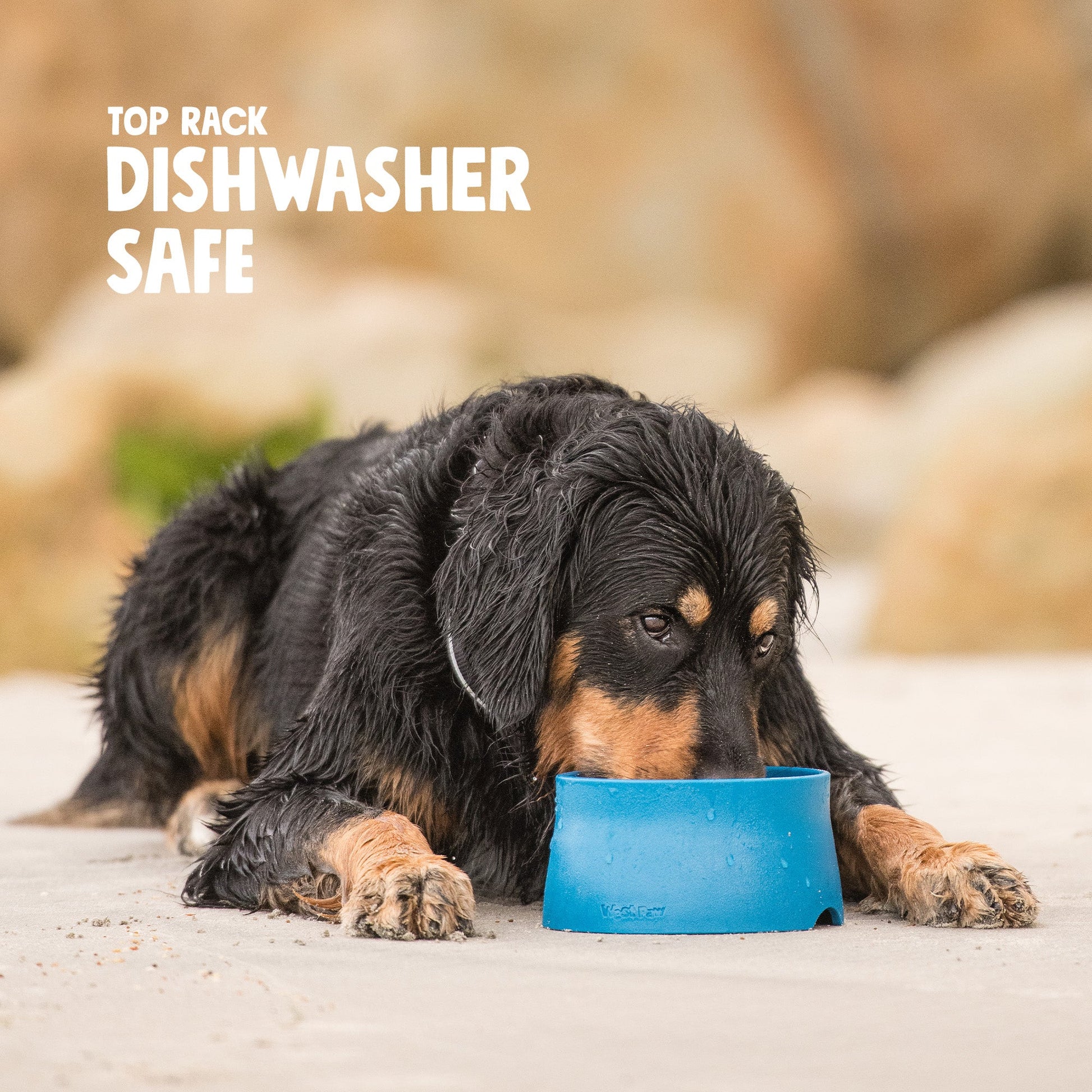 Pet Feeders Bowls Non Slip Feeding Bowl Daily Dining - lifestyle view