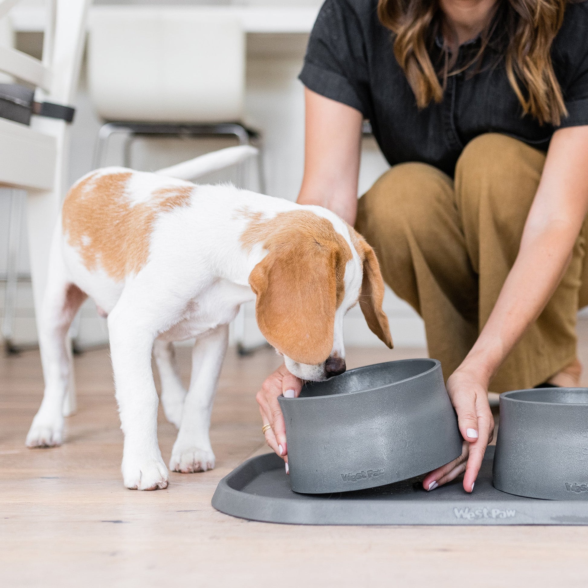 Pet Feeders Bowls Non Slip Feeding Bowl Daily Dining - gallery image 5