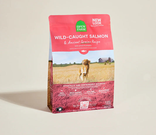 Open Farm Wild-Caught Salmon & Ancient Grains Dry Dog Food - main product image