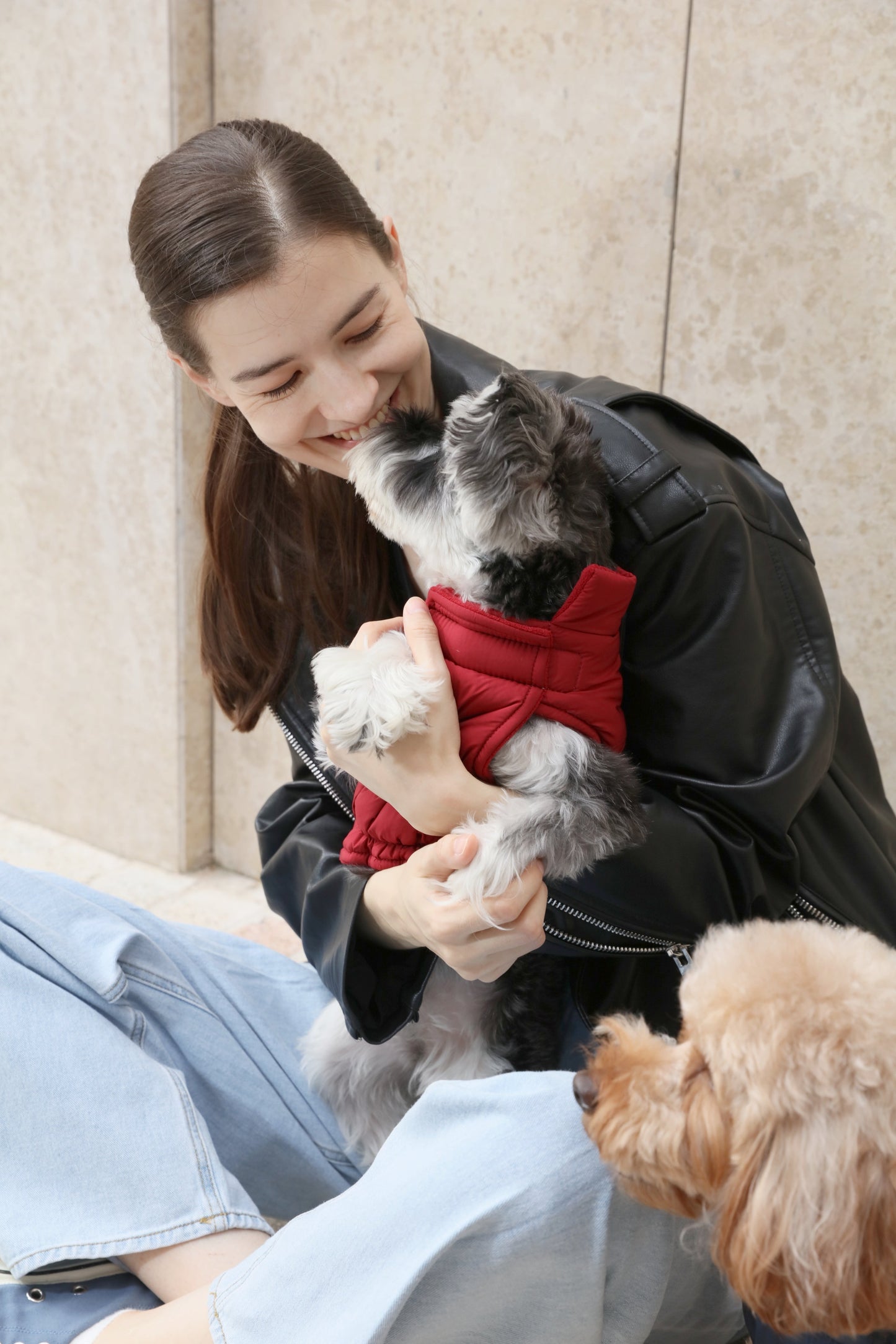 Reversible Dog Vest Jacket Red Dog Apparel Premium Pet - gallery image 20
