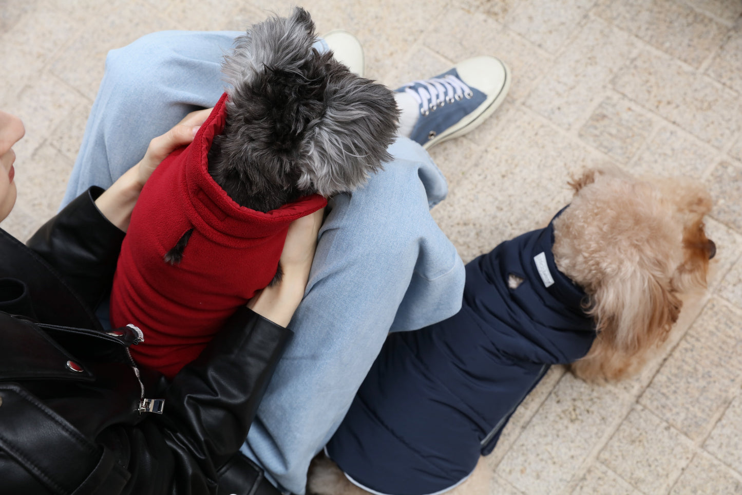 Reversible Dog Vest Jacket Red Dog Apparel Premium Pet
