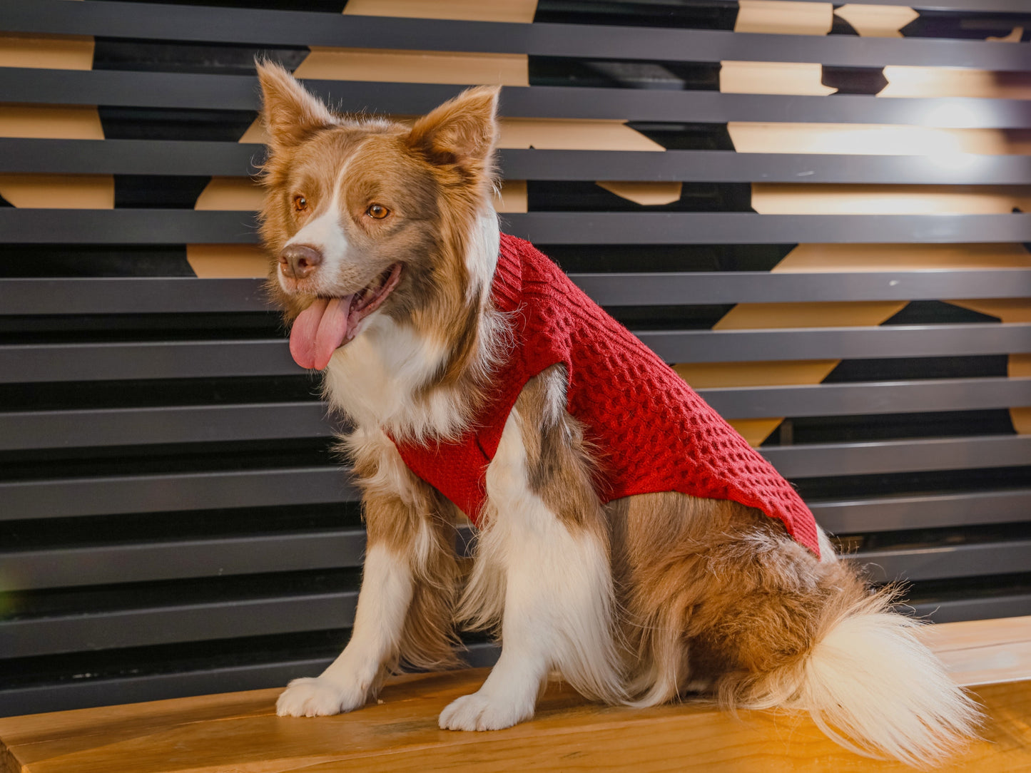 Pet Sweater Vest Red Dog Sweaters Premium Pet Supply Premium - gallery image 5