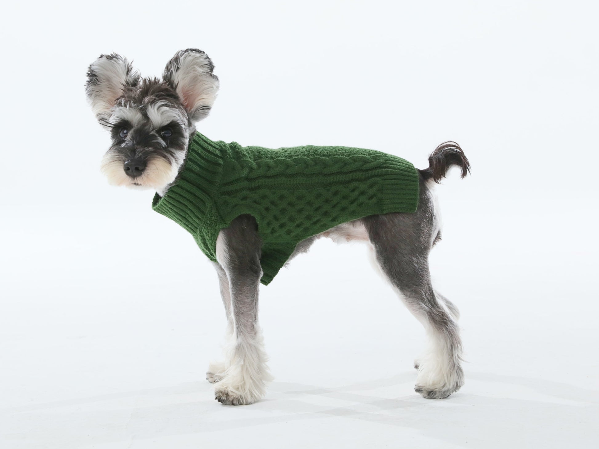 Pet Sweater Vest Green Dog Sweaters Premium Pet Supply - close up view