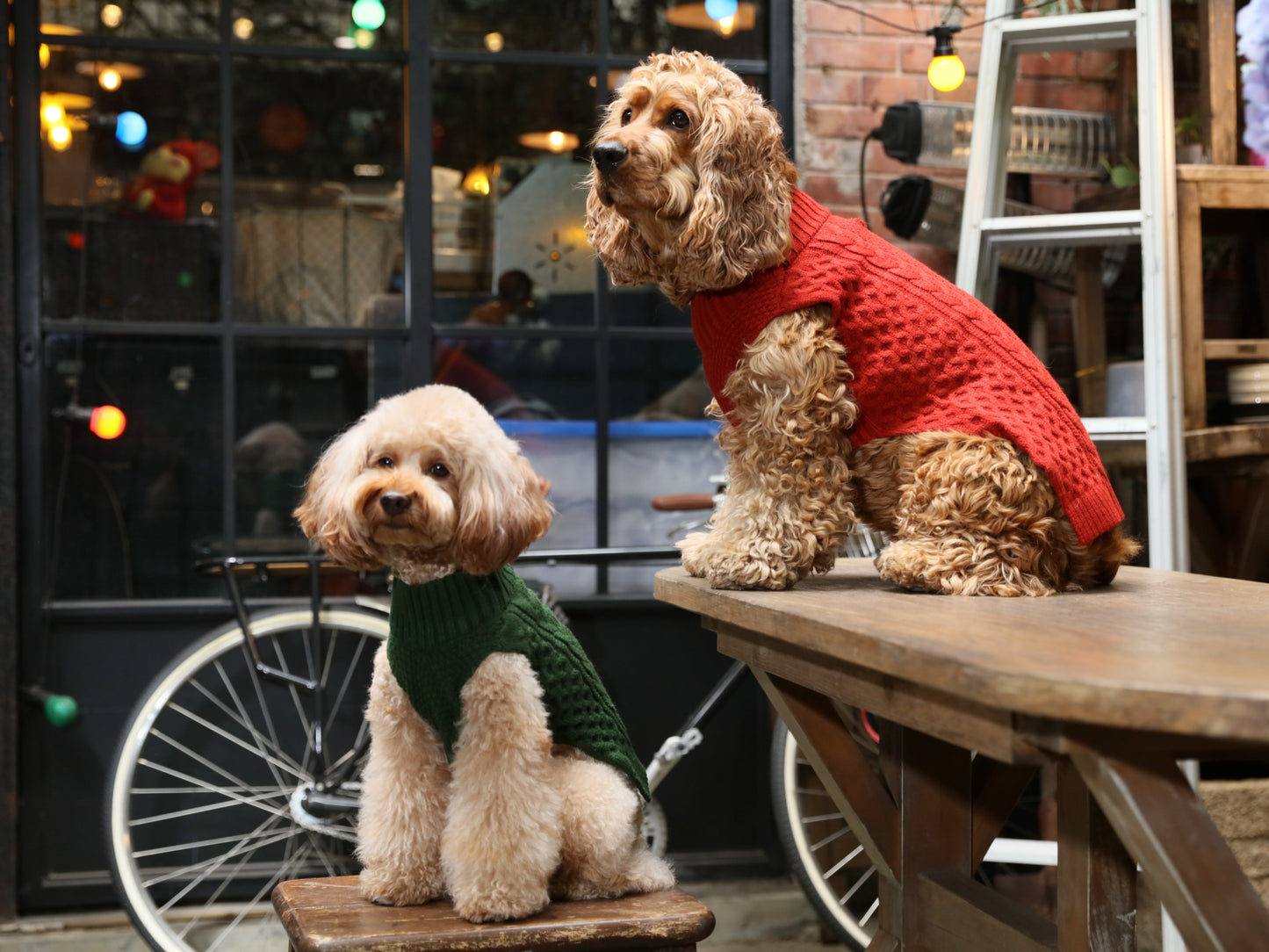 Pet Sweater Vest Green Dog Sweaters Premium Pet Supply - gallery image 6