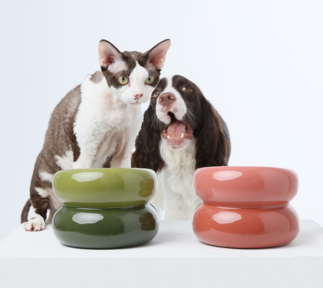 Pet Feeders & Bowls Adjustable Green Premium Pet Supply - detail view