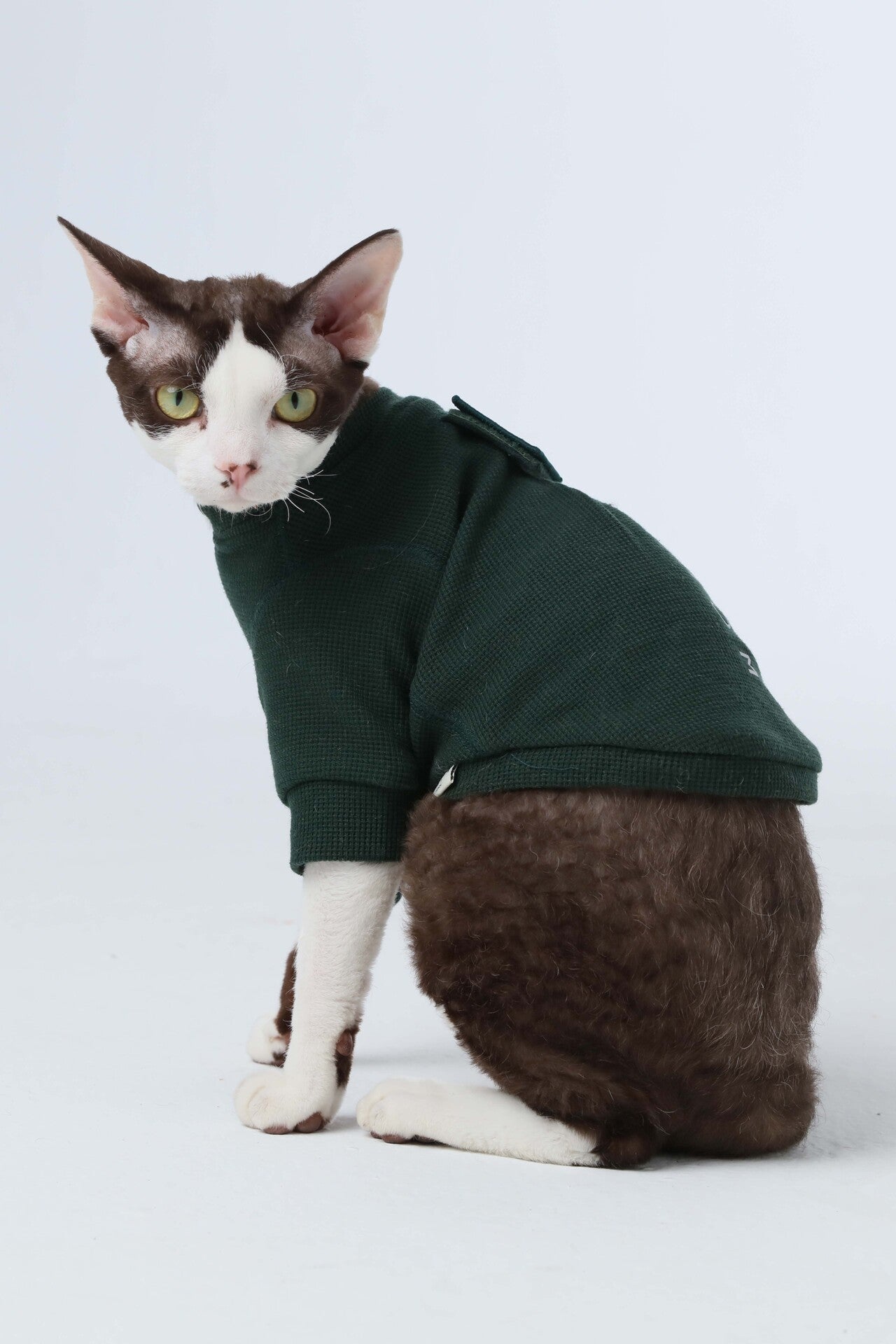 Embroidery Waffle T Shirt Green Dog Apparel Premium Pet - gallery image 7
