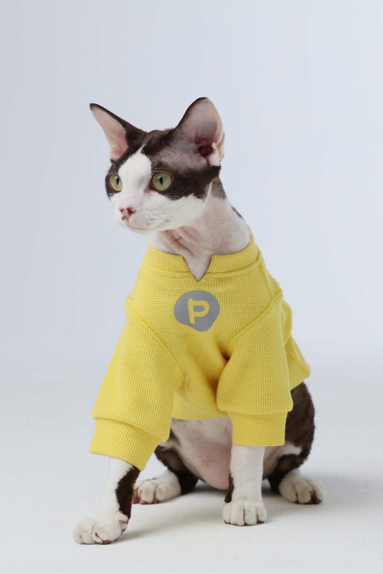 Embroidery Waffle T Shirt Yellow Dog Apparel Premium Pet - gallery image 5