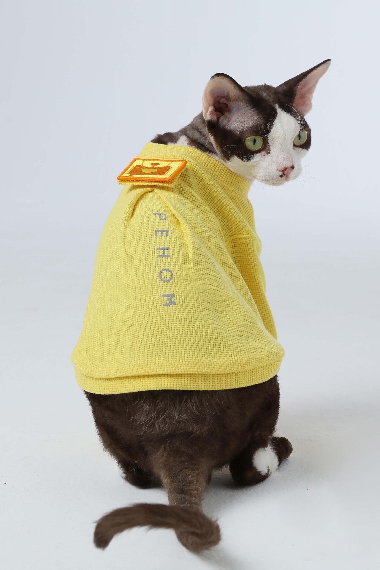 Embroidery Waffle T Shirt Yellow Dog Apparel Premium Pet - gallery image 6
