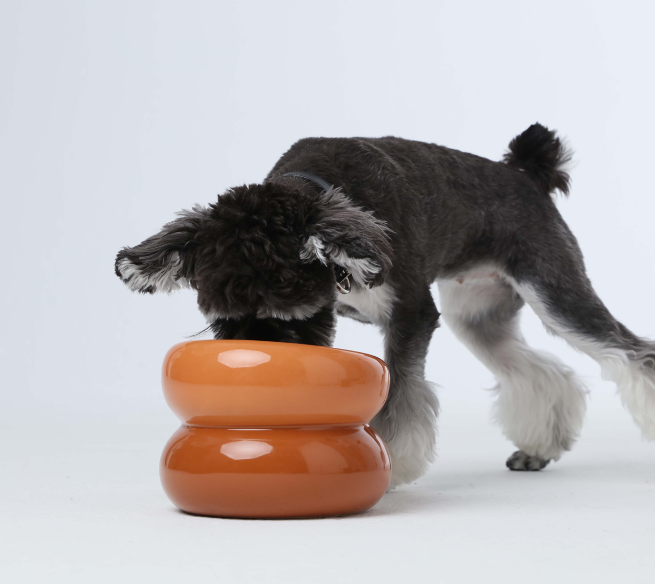 Souffle Pet Bowl Amber Orange Pet Feeding Hydration Supply - detail view