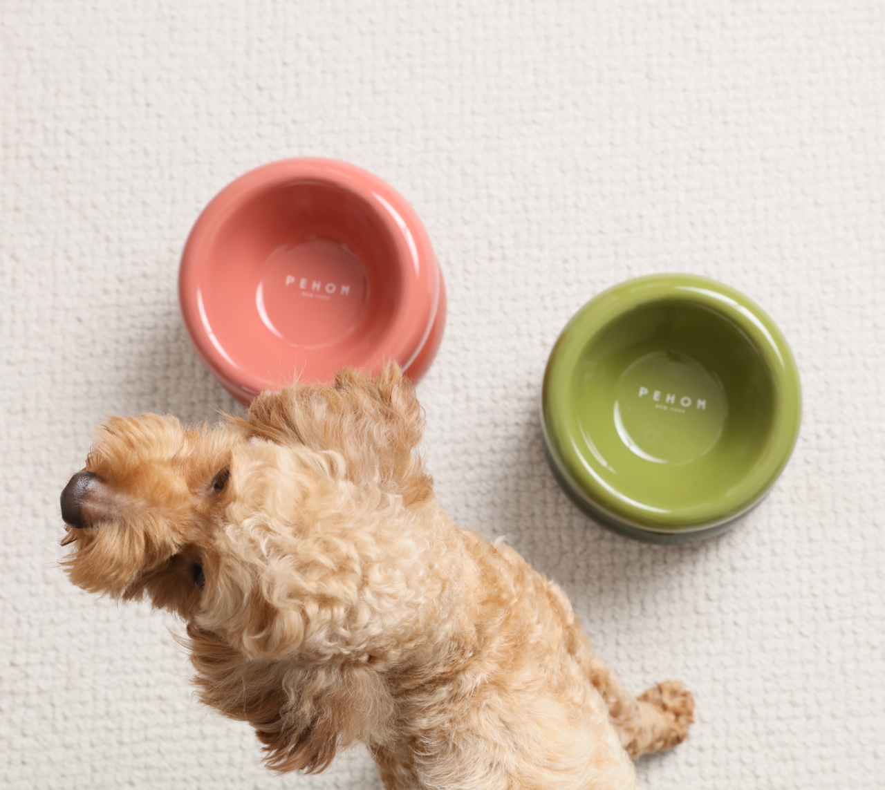Souffle Pet Bowl Rose Pink Pet Feeding Hydration Supply - close up view