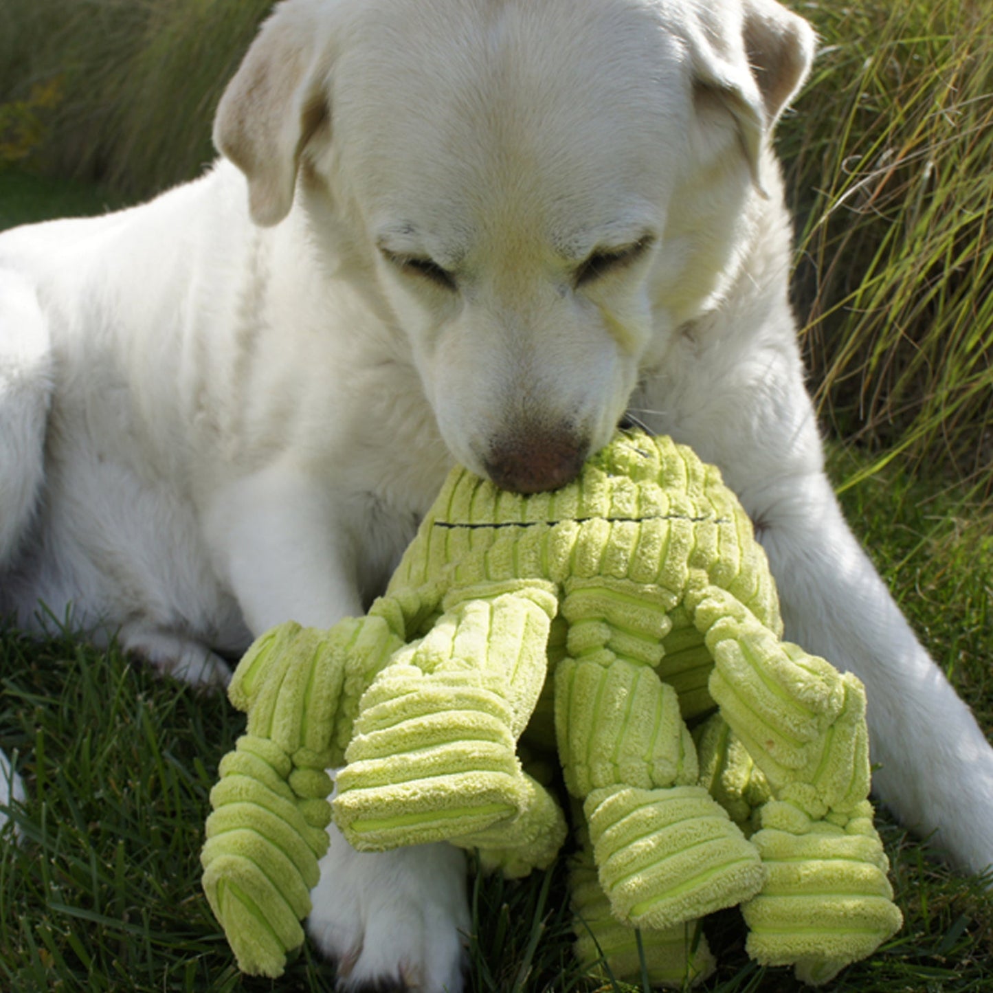 Dog Toy Octavie Octopus Knottie Plush Toy for Daily Use main product image for dogs and cats