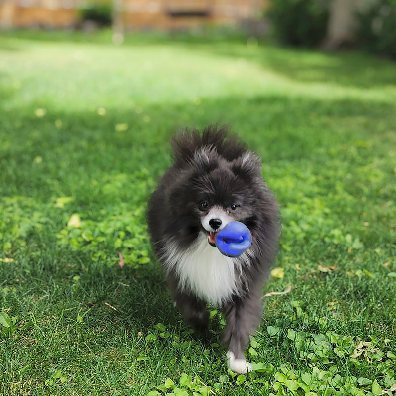 KONG Ogee Orb Interactive Dog Toy Durable Play - detail view