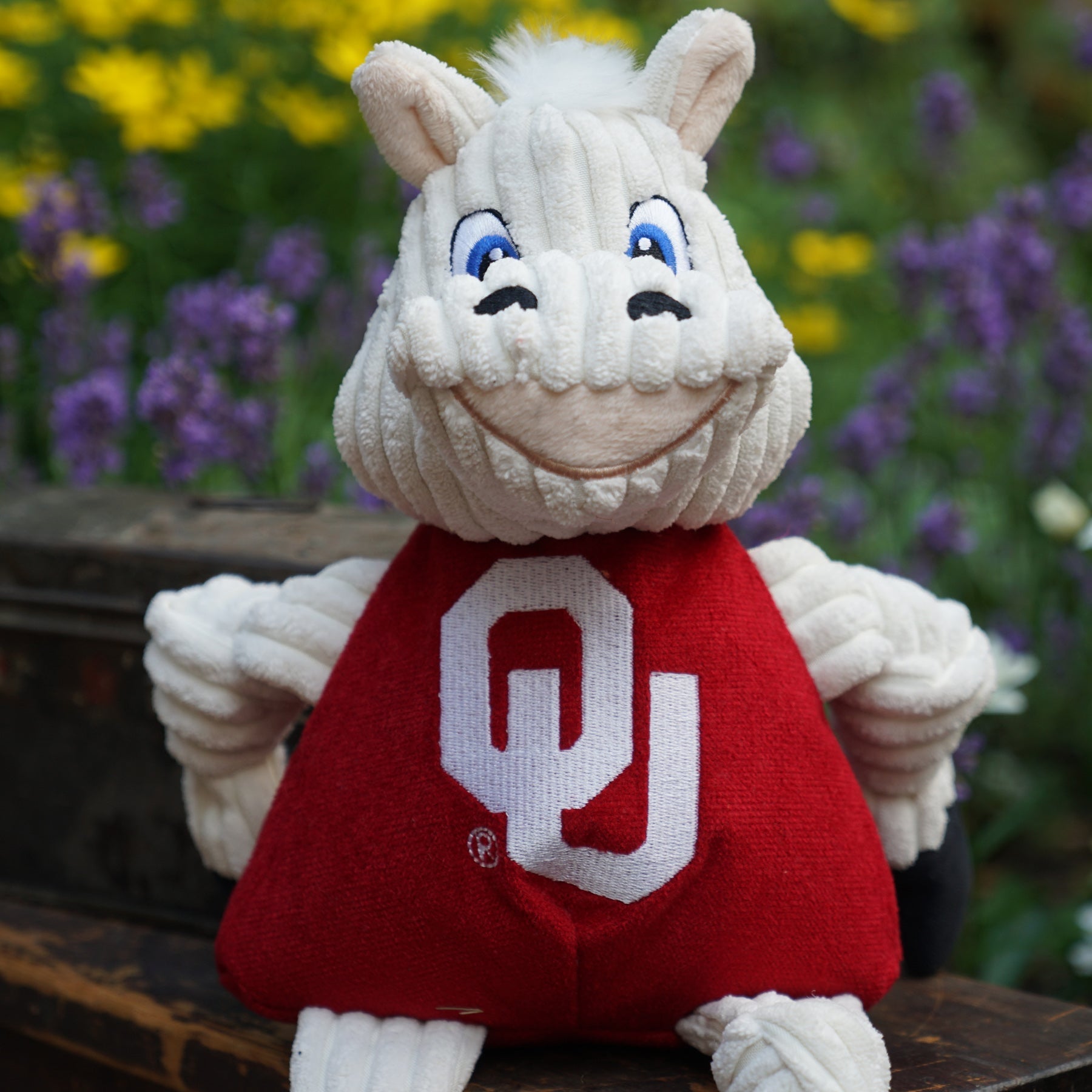 Dog Toy NCAA University of Oklahoma Sooner Knottie Plush Toy main product image for dogs and cats
