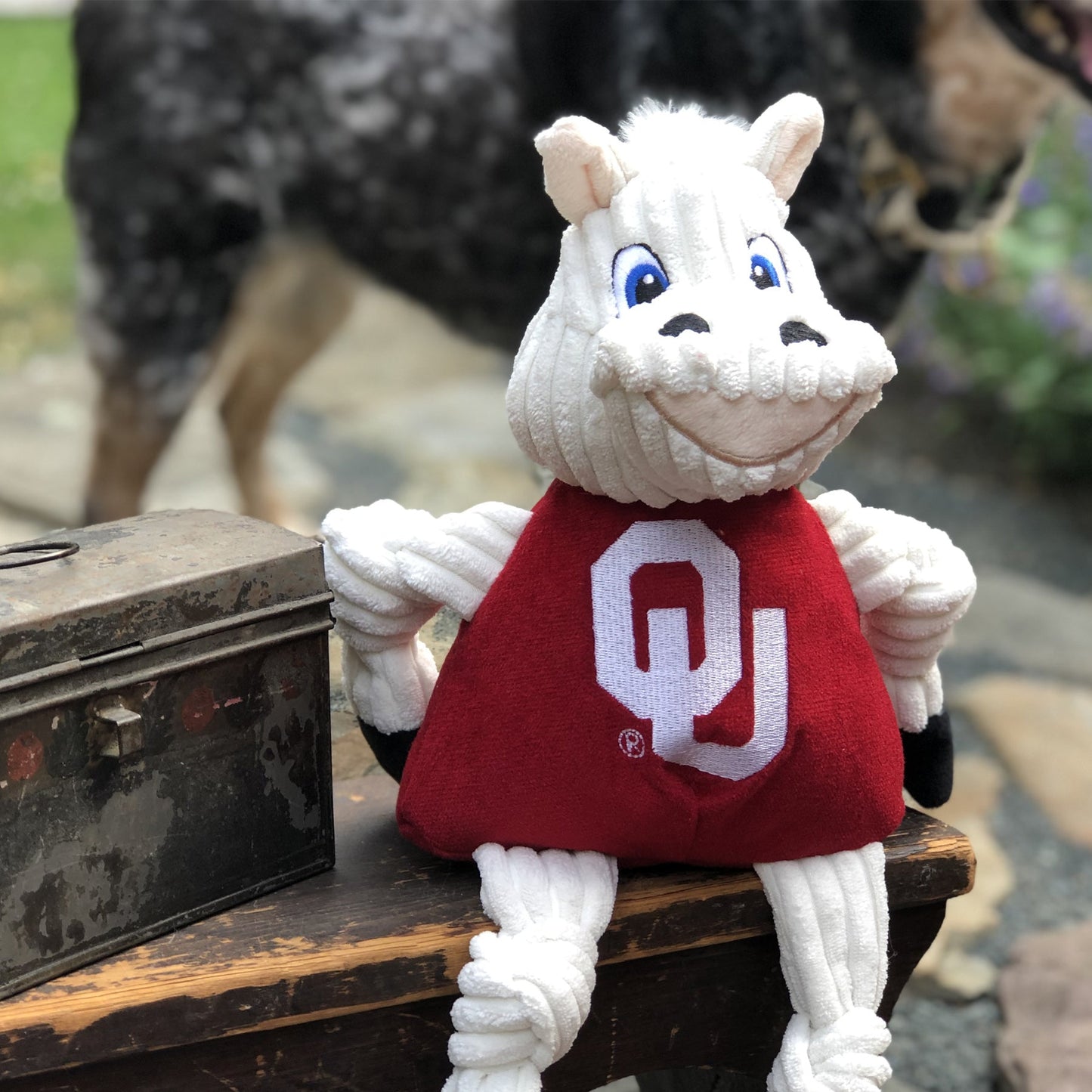 Dog Toy NCAA University of Oklahoma Sooner Knottie Plush Toy main product image for dogs and cats