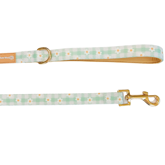 Pet Leash Leash Oopsie Daisy Leash for for Daily Use Essenti - detail product image for pet leash