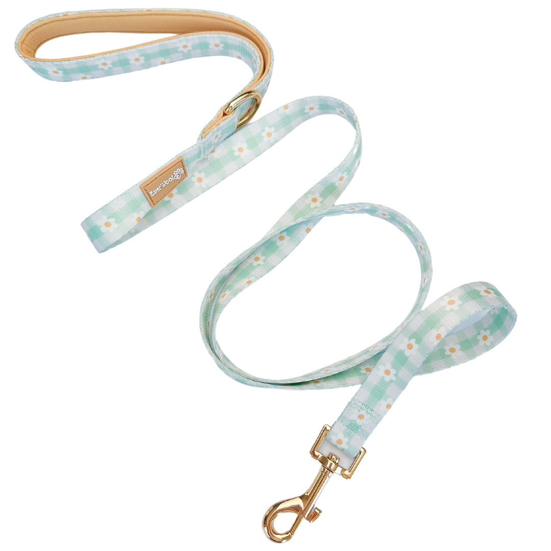Pet Leash Leash Oopsie Daisy Leash for for Daily Use Essenti - lifestyle product image for pet leash