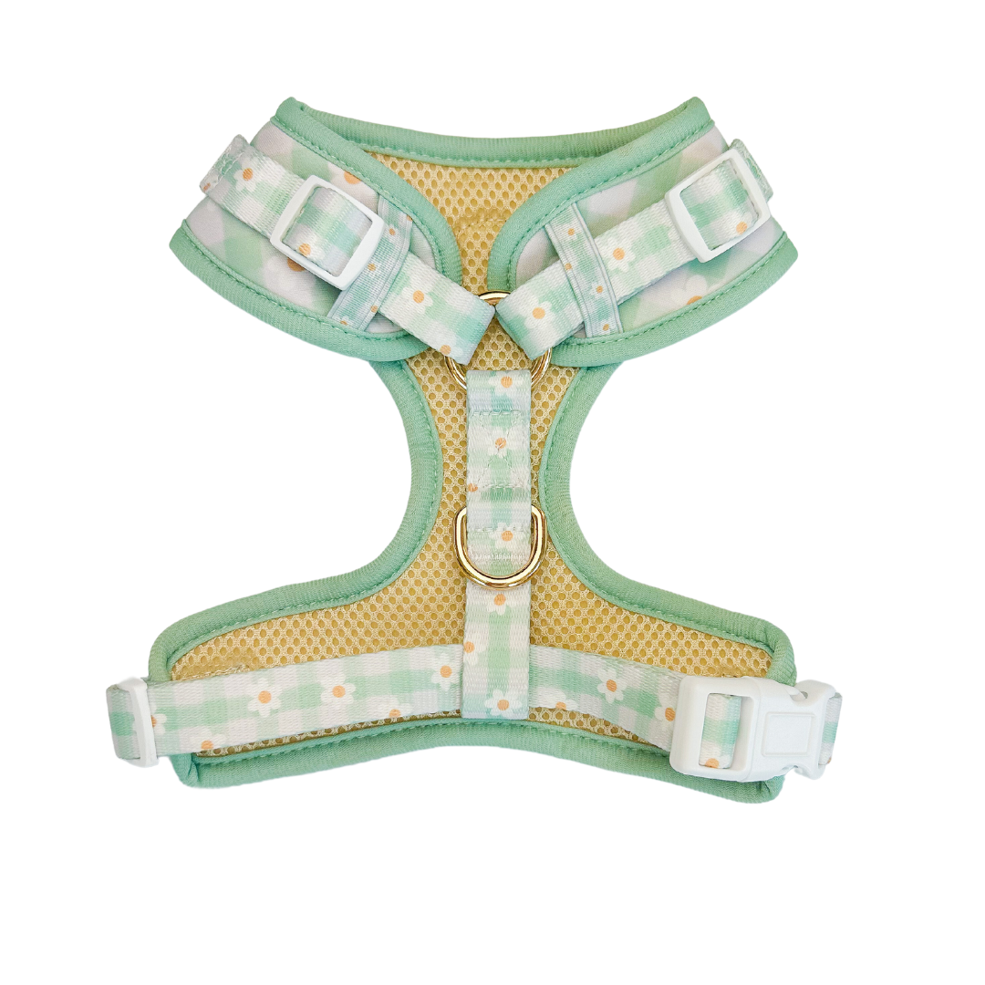 Pet Harness Harness Oopsie Daisy Adjustable Harness Essentia - detail product image for pet harness