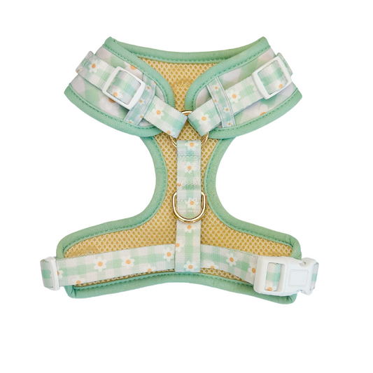 Pet Harness Harness Oopsie Daisy Adjustable Harness Essentia - detail product image for pet harness