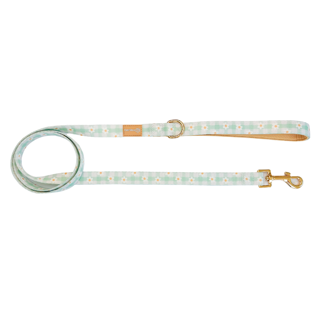 Pet Leash Leash Oopsie Daisy Leash for for Daily Use Essenti - main product image for pet leash