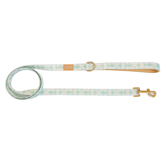 Pet Leash Leash Oopsie Daisy Leash for for Daily Use Essenti - main product image for pet leash