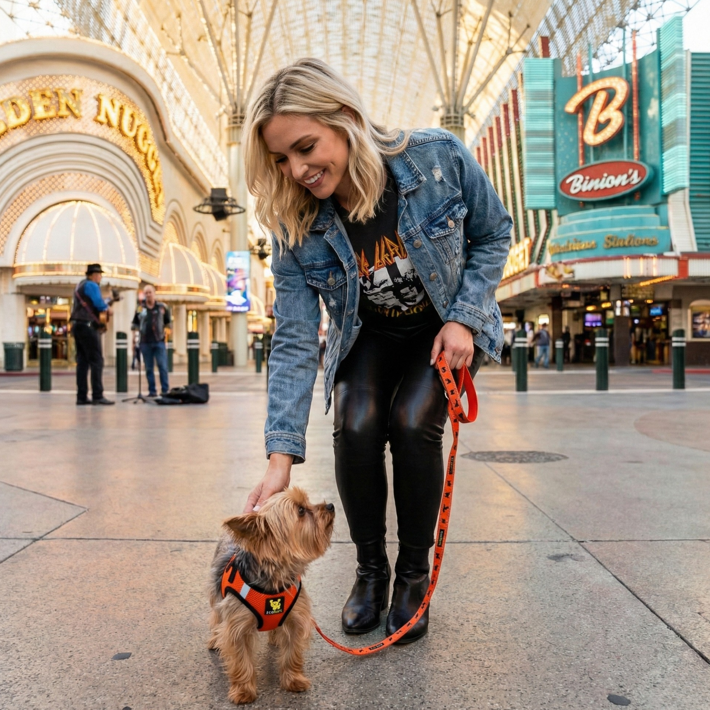 Dog Leash EcoBark Safety Orange Leash- Padded Comfort Grip - size and texture image for dog leash