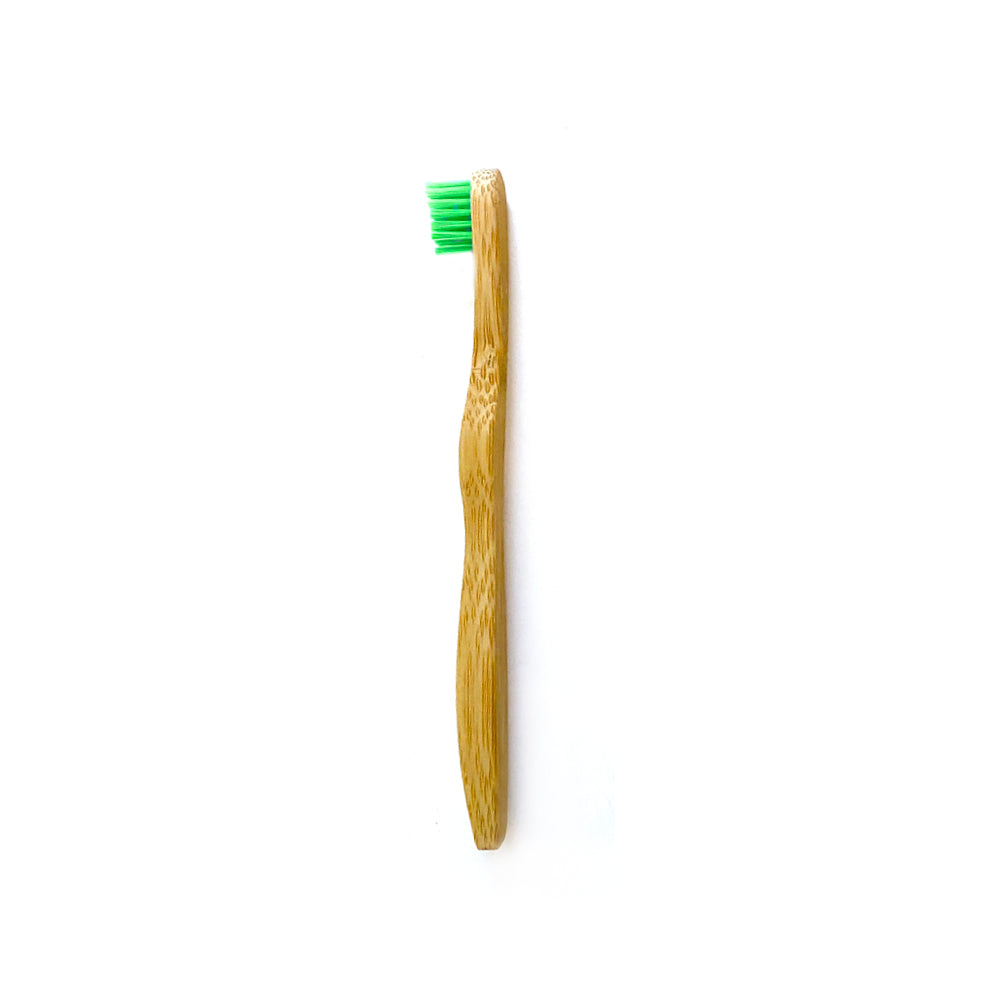 Bamboo Toothbrush for Small Dogs - Organic Dental Solutions - lifestyle view | Dental at Purrfect Pet Kingdom
