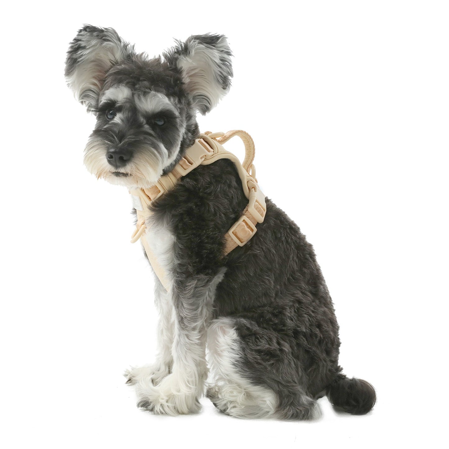 Dog Harness No Pull Active Fit Adjustable APRICOT Walking - detail view