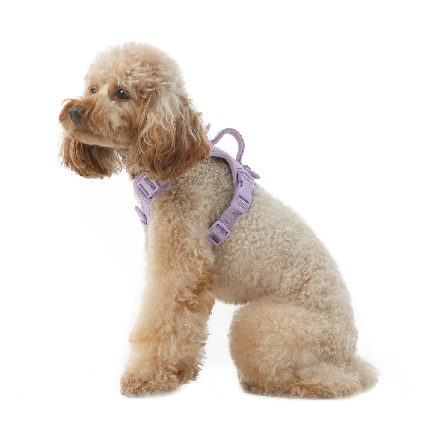 Dog Harness No Pull Active Fit Adjustable MINT PURPLE Walkin - lifestyle view