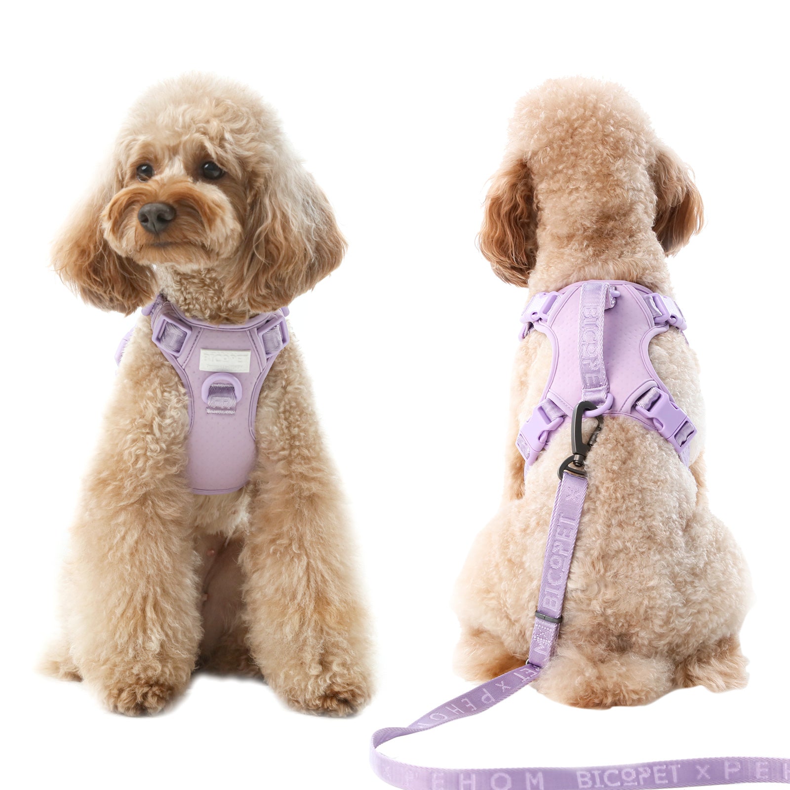 Dog Harness No Pull Active Fit Adjustable MINT PURPLE Walkin - close up view