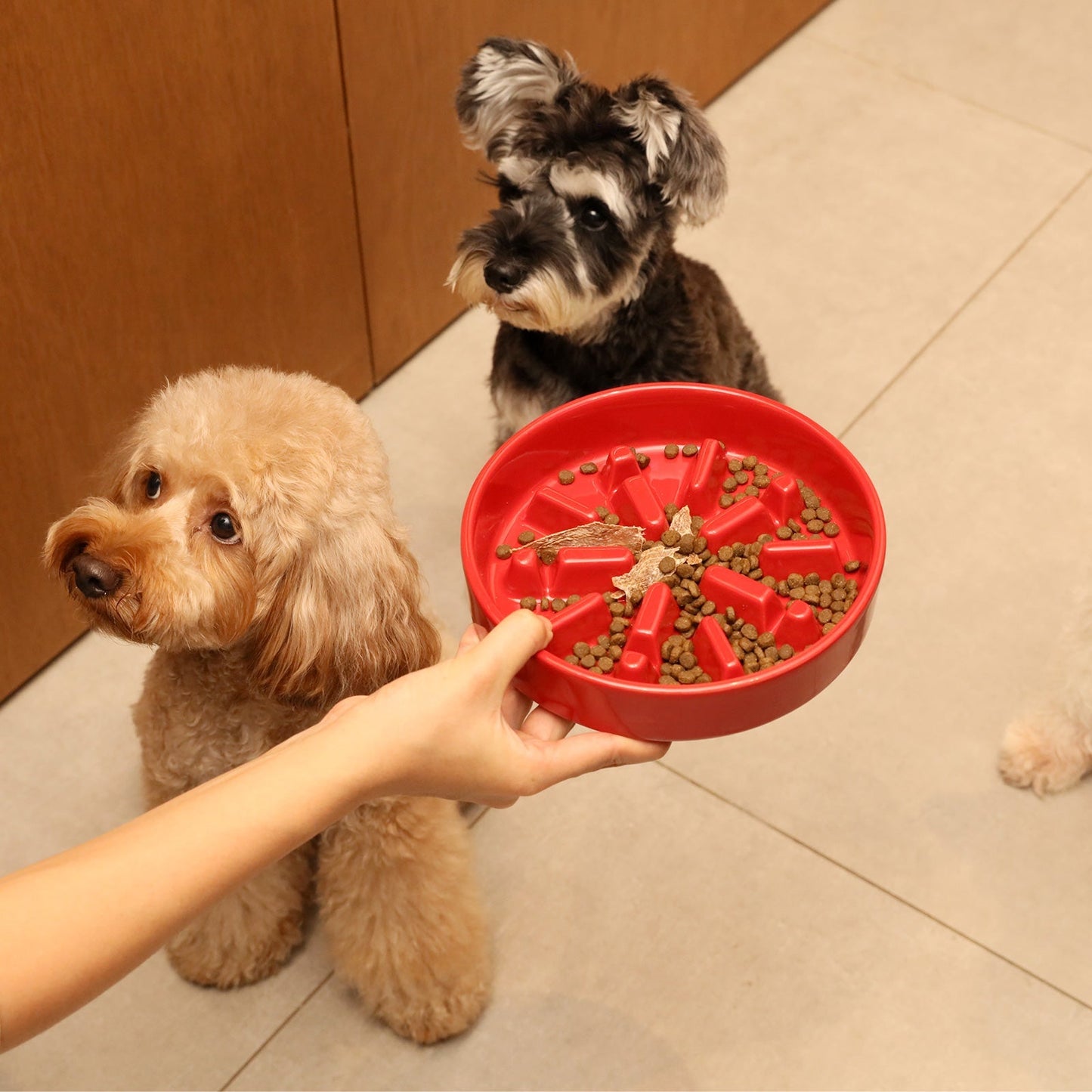 Pet Feeders & Bowls Adjustable Red Premium Pet Supply Premiu - detail view