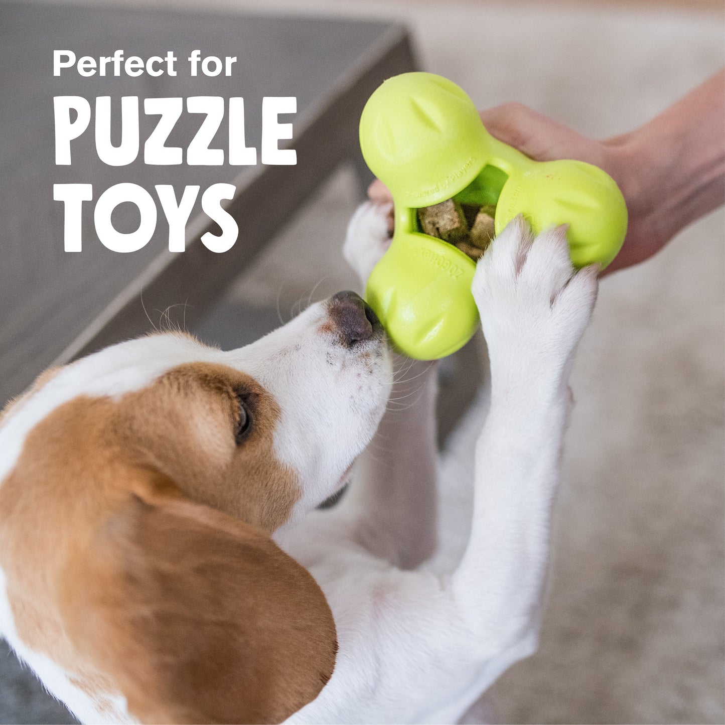 Dog Treats Beef Liver Natural Protein Reward Chews - lifestyle view
