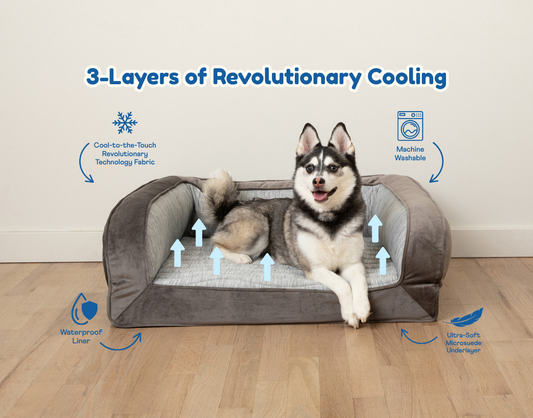 Pupchill Cooling Bolster Dog Bed Washable Pet Bed Comfort - main product image