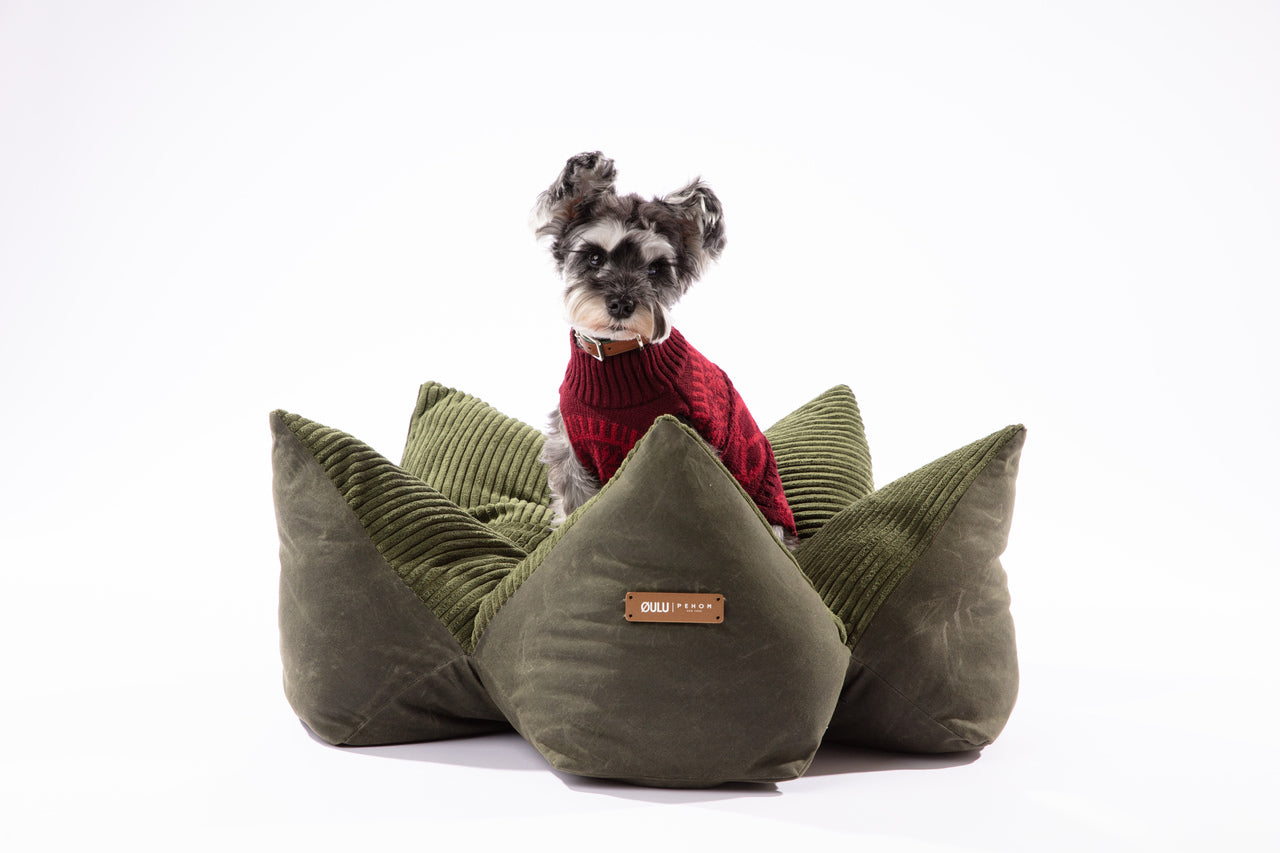 Dog Beds Adjustable Blue Premium Pet Supply Premium Pet Supp - gallery image 9