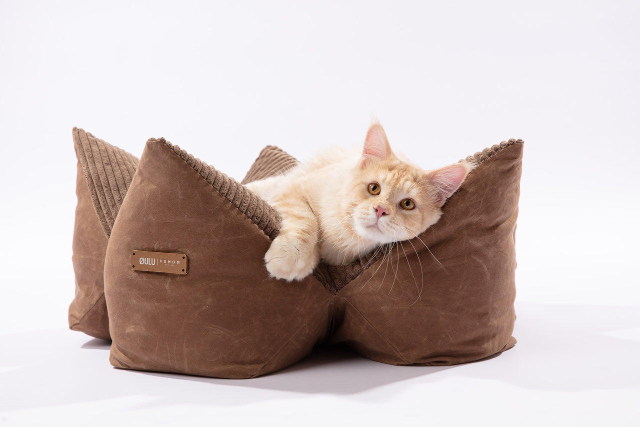 Dog Beds Adjustable Blue Premium Pet Supply Premium Pet Supp - gallery image 13